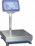 Platform scale with DINI ARGEO indicator DFW06XPCC, 150 kg, 40x50