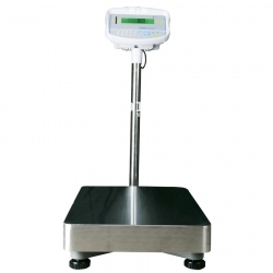 Platform scale ADAM GFK 60M