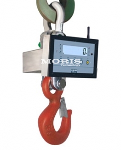 Crane scale Dini Argeo Professional  MCW150MP2-1