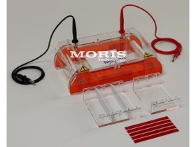 Horizontali elektroforezės sistema GH201