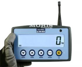 Mobilus svorio monitorius DFWPM